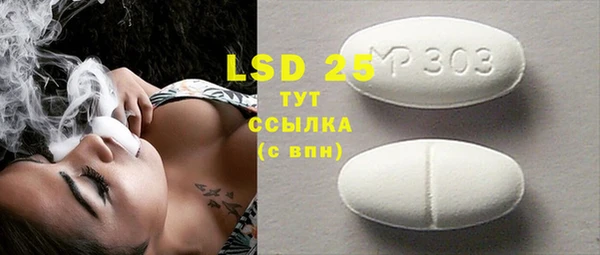 ГАЛЛЮЦИНОГЕННЫЕ ГРИБЫ Арсеньев