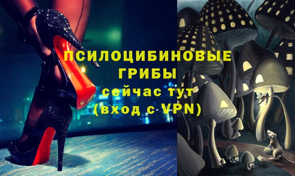 ГАЛЛЮЦИНОГЕННЫЕ ГРИБЫ Елабуга