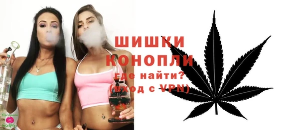 spice Аркадак