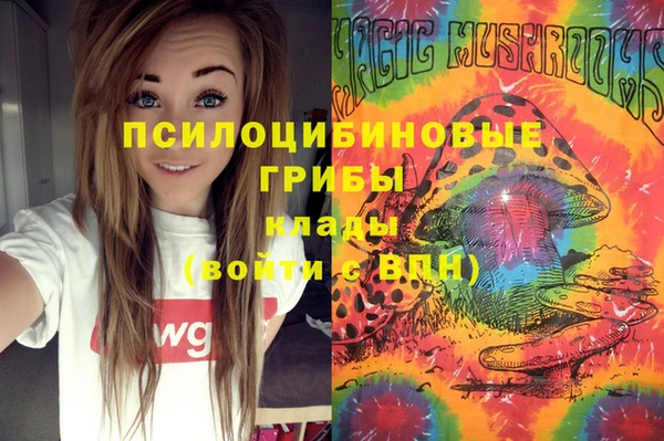 ГАЛЛЮЦИНОГЕННЫЕ ГРИБЫ Арсеньев